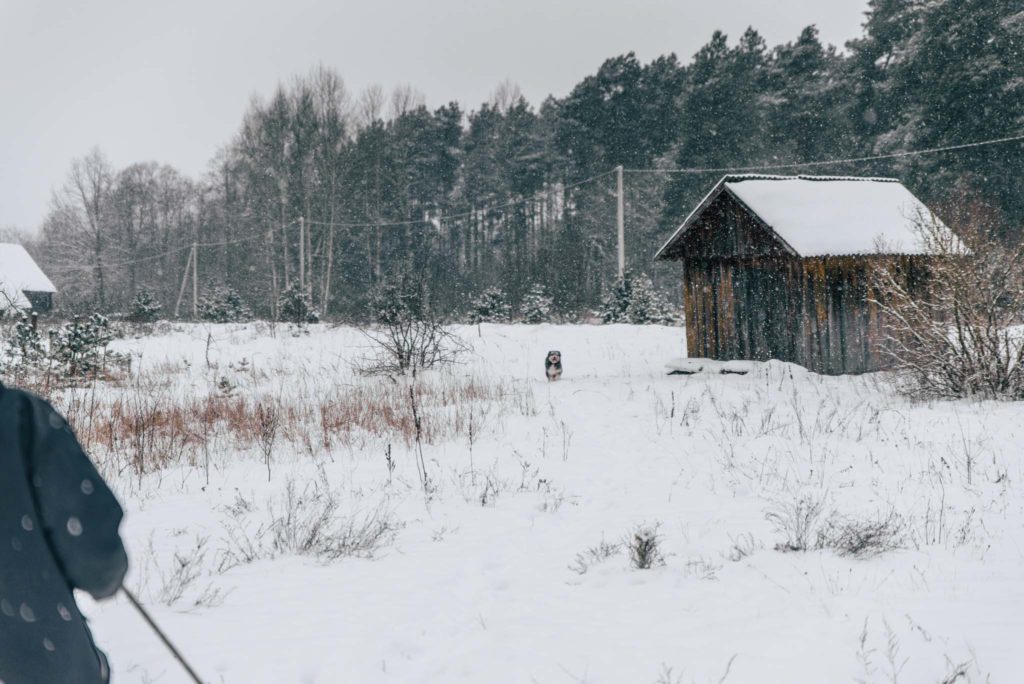 Lithuania Photography